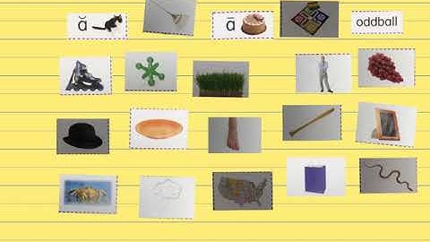 Within word Pattern Sort 1