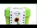【綠藝家】iPlant小農場系列-櫻桃蘿蔔 product youtube thumbnail