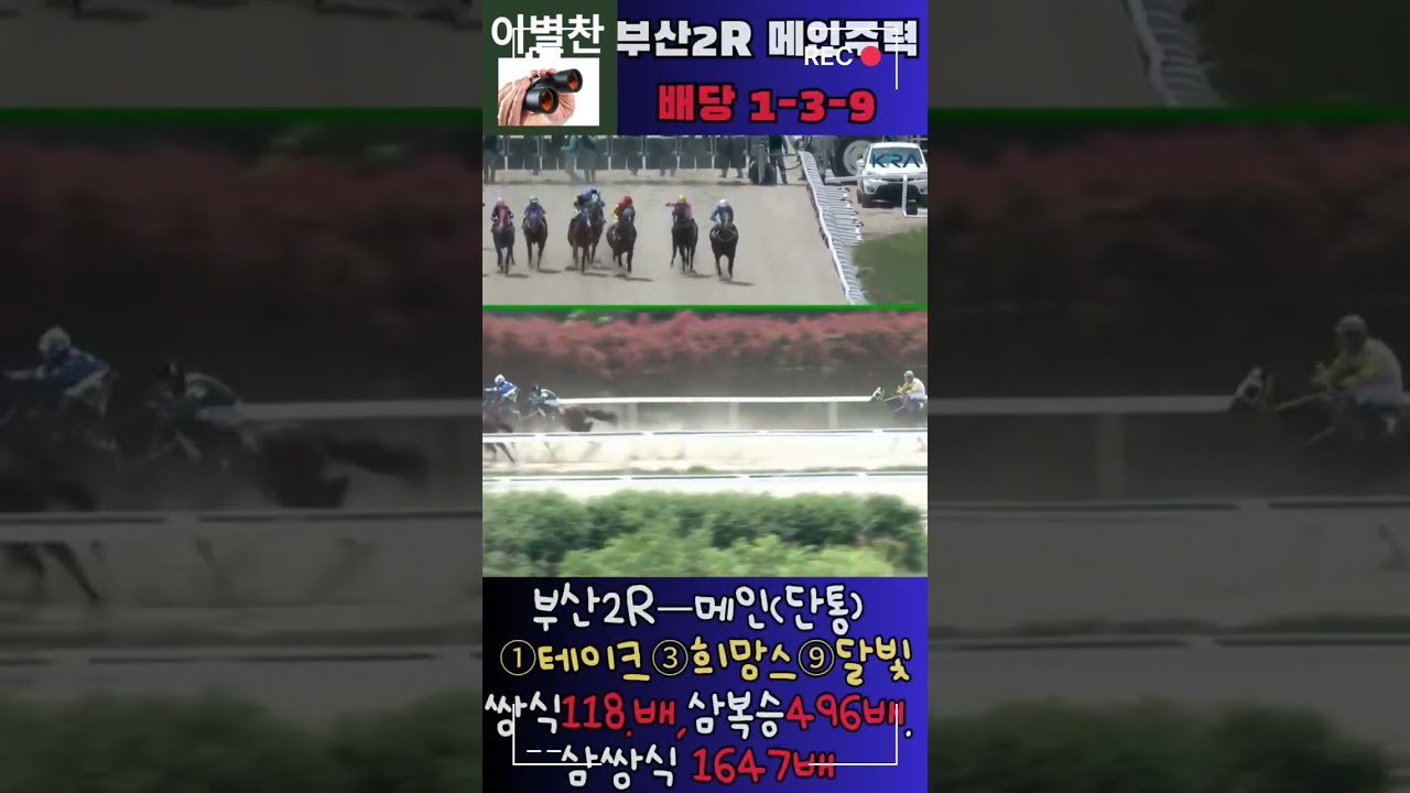 [경마]새벽조교 우수마 메인 복병마선전 ..삼쌍식 1647배 단통 🤫 복병마가 가져온 짜릿한 역전극! 🏆🔥