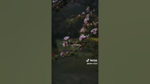 هو الذي جعل الشمس ضياء والقمر نورا وقدره منازل لتعلموا عدد السنين والحساب - سورة يونس