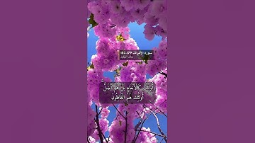 سورة الاعراف الاية 179-182