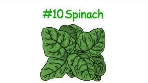 The Dirty Dozen | Foods With Highest Pesticide Residue | limeylight