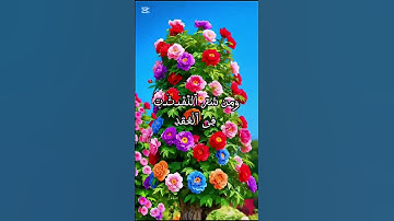 #سورة_الفلق #اكسبلور #القزابري #duet #المصحف #دويتو #الرحمن #تيك_توك #الورقات #صباح_الخير #البرزخ