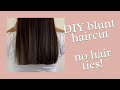 How to do a Blunt Haircut at home | DIY | Professional Hairstylist Explains