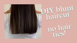 How to do a Blunt Haircut at home | DIY | Professional Hairstylist Explains