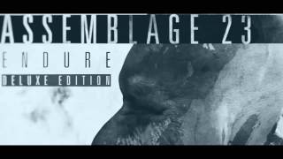 Assemblage 23 - Endure