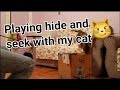 Playing hide and seek with my cat