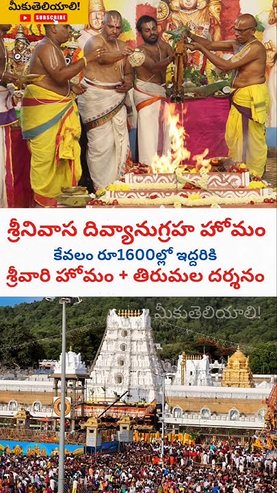 Tirumala 1600 Rupees Ticket For 2 Persons tirumala tirupati YouTube tirumala-1600-rupees-ticket-for-2-persons-tirumala-tirupati-youtube