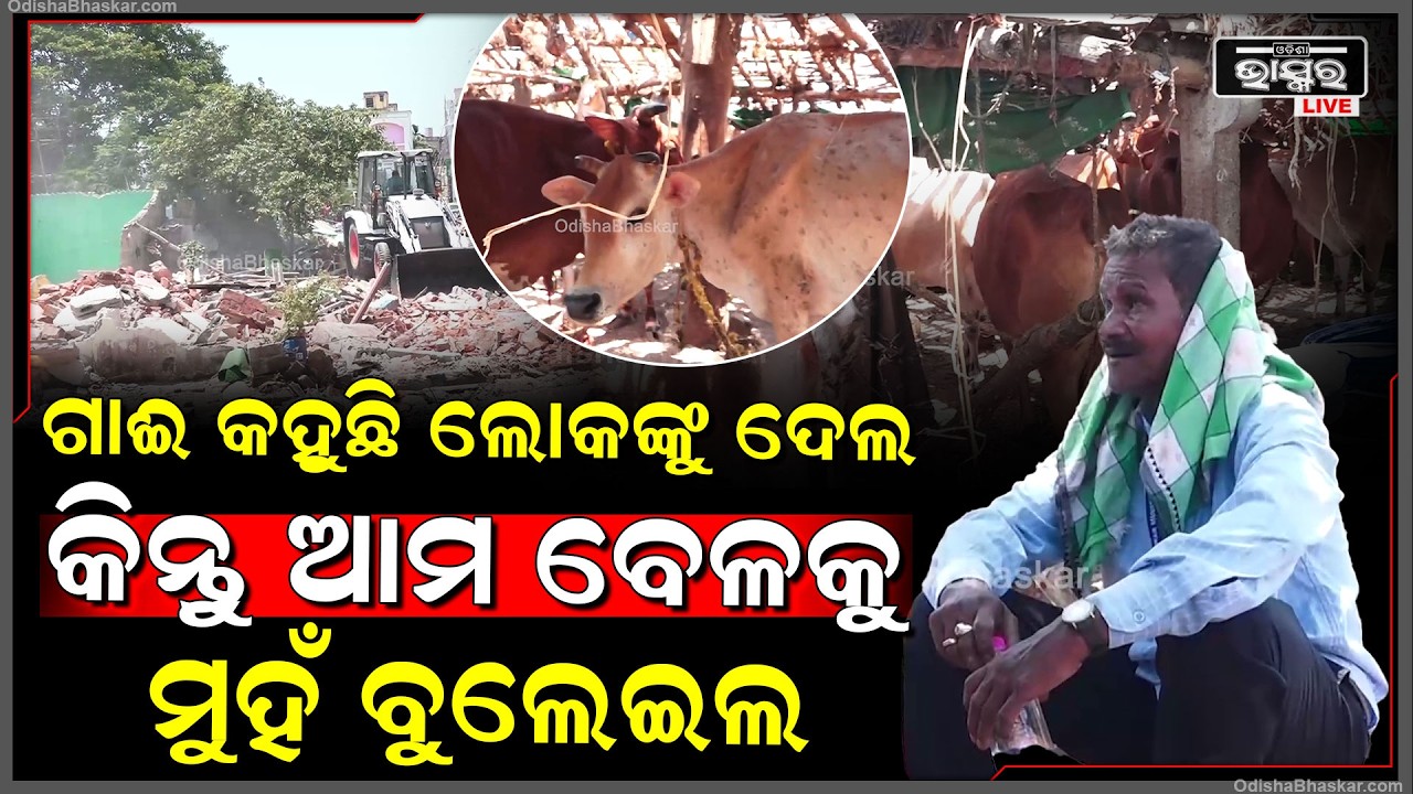 ଗାଈ କହୁଛି ଲୋକଙ୍କୁ ଦେଲ କିନ୍ତୁ ଆମ ବେଳକୁ ମୁହଁ ବୁଲେଇଲ, ଆମେ ରହିବୁ କେଉଁଠି