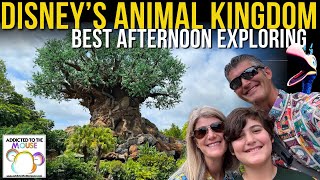 Exploring Disney's Animal Kingdom in May 2024 | Walt Disney World