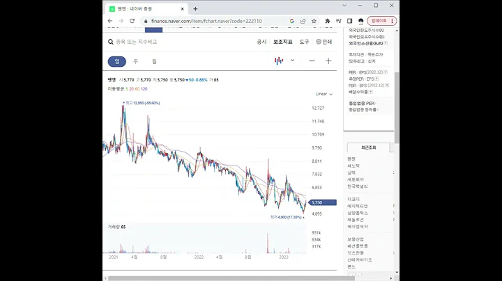 222110팬젠 주가 전망 및 차트 분석