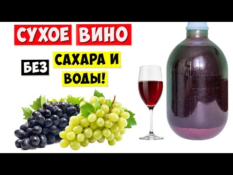 СУХОЕ ВИНО из ВИНОГРАДА без Сахара и Воды / Простой Рецепт!