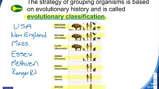 Lesson 5.3: Evolutionary Classification