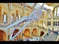 World Most Impressive Natural History Museum | London