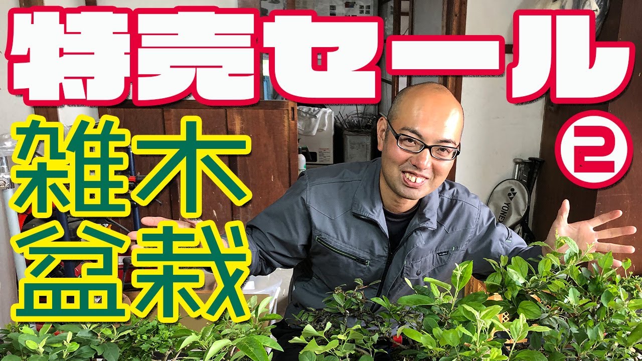 First come, first served] Special Sale of Miscellaneous Bonsai