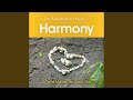 Tao meditation music for harmony