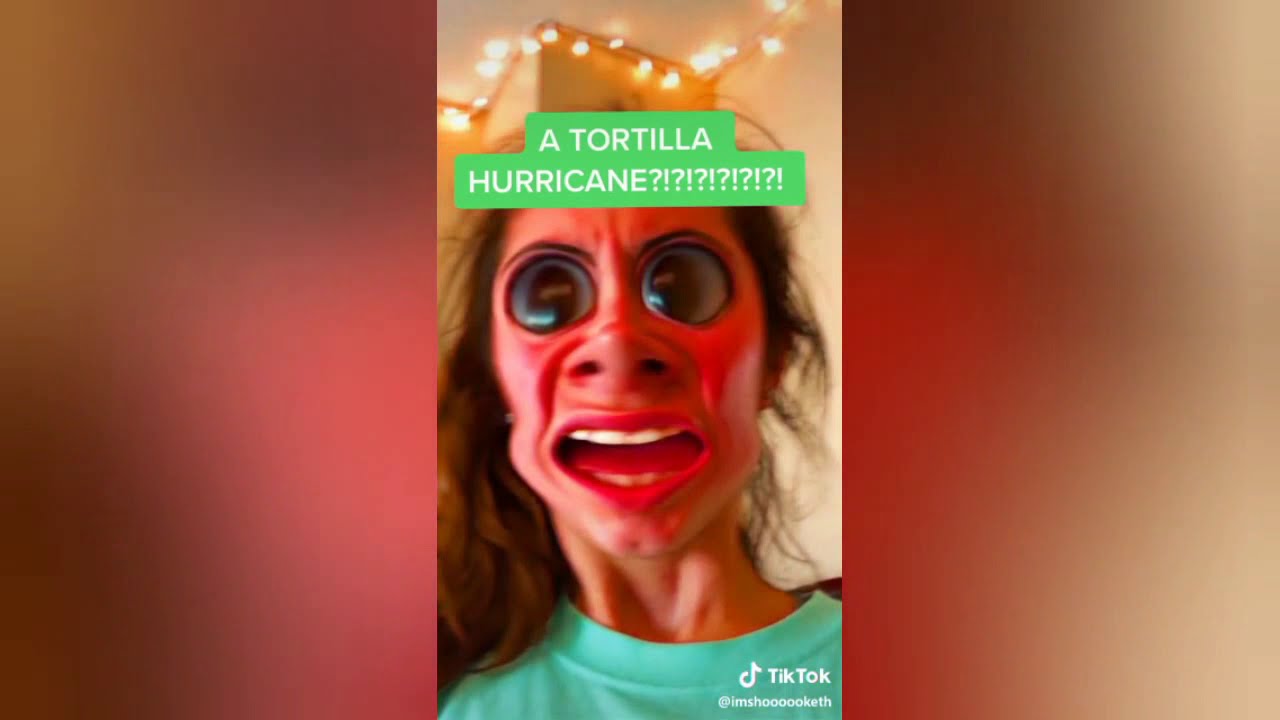 time traveller on tiktok