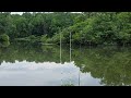 Cove Lake!