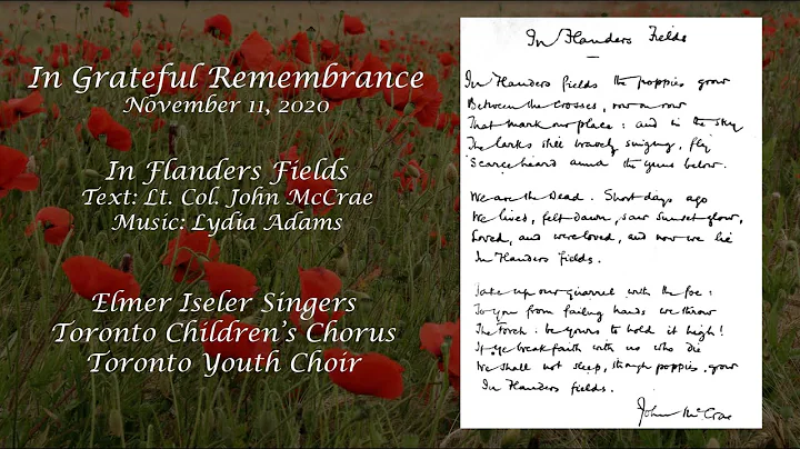 In Flanders Fields