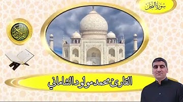 القارئ محمد مولود الشاماني تلاوة عراقية من سورة النحل من الآية ٥٦ إلى الآية ٨١