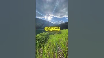 سورة الإنسان الآيه 18 #القارئ محمد اللحيدان