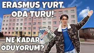 ERASMUS YURT TURU! Polonya'daki yurt odam, yurt ücretleri, faturalar, internet, yemek, Sosnowiec DS