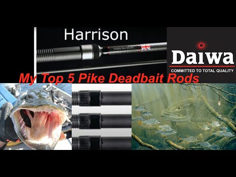 My Top 5 Pike Deadbait Rods for UK Freshwater Angling 