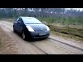 Prius in the forest