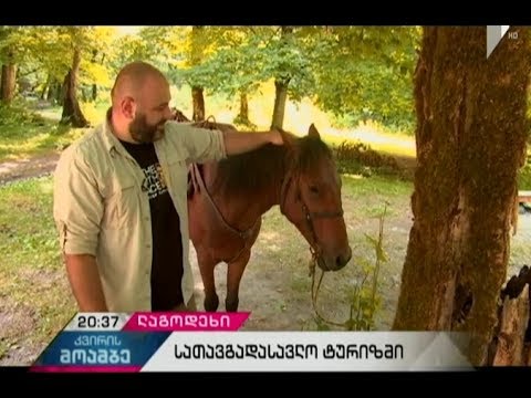 რას სთავაზობს ლაგოდეხის ნაკრძალი ვიზიტორებს