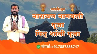 Narayan Nagbali Puja Trimbakeshwar - Pitra Dosh Pooja