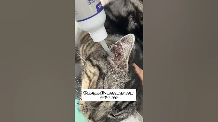 Using this wellix ear cleaner, your cat’s ear will stay clean and healthy! #catparents #catlover