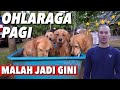 GAGAL LARI PAGI GARA-GARA SNOWA & WAPISH! | THE GOLDEN FAMILY