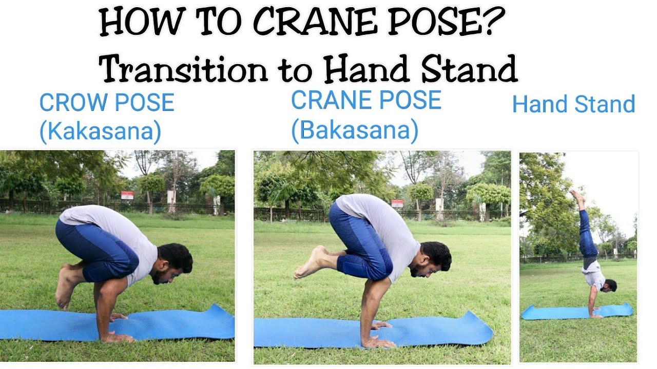 Crow Pose: Tutorial to Master This Arm Balance | YouAligned