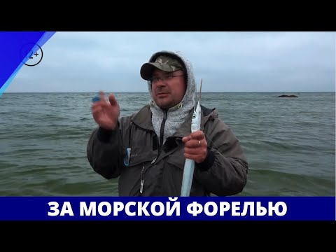 За морской форелью // География нахлыста