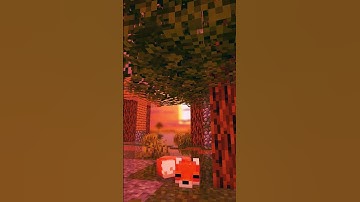 Stay for 5 sec #shorts #minecraft #memes #minecraftanimation