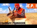 COLORADO PRONGHORN RIFLE HUNT I PUBLIC LAND BUCK!