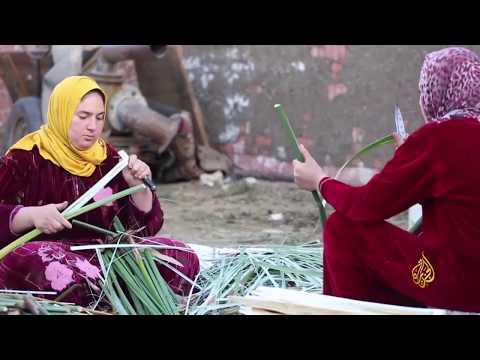 هذا الصباح صناعة البردي قصة تاريخ مهددة بالزوال