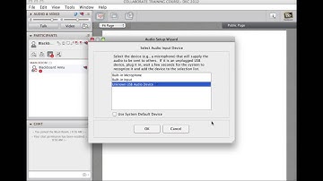 Bb Collab - Audio Setup Wizard