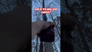 #hunting #outdoors #hangingtrailcams #trailcams #onestick #trailcampics #mountainhunting #northga