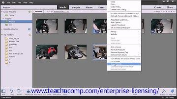 Adobe Photoshop Elements 12 Tutorial The Organizer Employee Group Training  2.17
