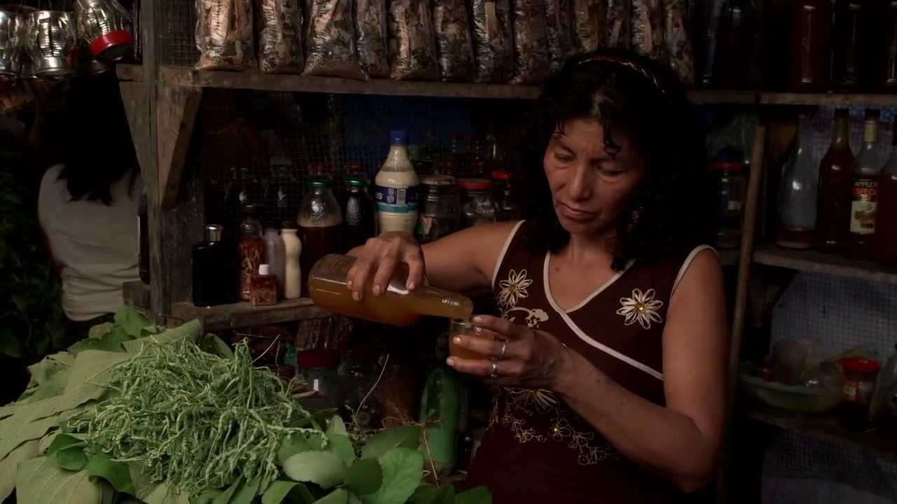 The Ayahuasca Diaries