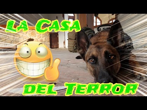 Camino a La Casa del Terror😰/ #Yankee Adventure naturaleza definicion