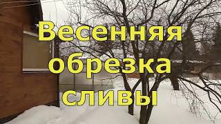 Весенняя обрезка