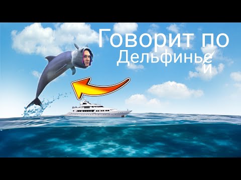 Video: Лев Поляков: өмүр баяны, чыгармачылыгы, карьерасы, жеке жашоосу