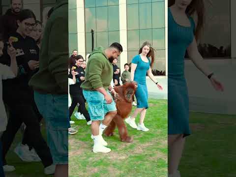 19 نوفمبر 2025