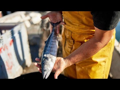 UKIOTA NDOTO UNAVUA SAMAKI SAMAKI WA KUKAANGA UNAKULA SAMAKI By Pastor Mbasha