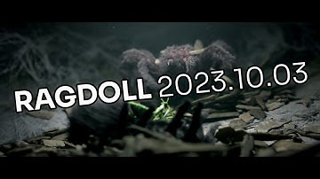Ragdoll 2023.10.03
