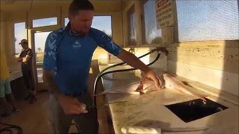 Filetting a Red Snapper