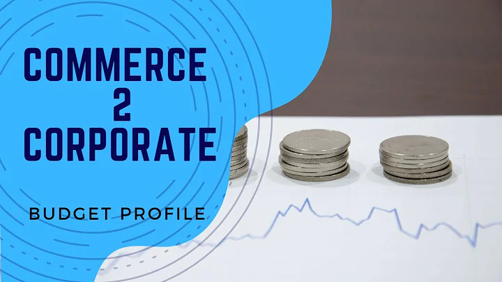 India's 2023-24 Budget in 12 Minutes