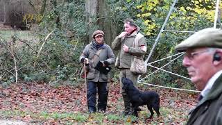 Watch FTCh TURPINGREEN BOHOL runs 2022 Retriever Championship at The Holkham Estate, Norfolk.